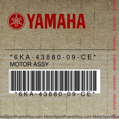 6KA-43880-09-CE Original OEM YAMAHA