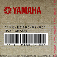 1PE-E2460-02-00 Original OEM YAMAHA