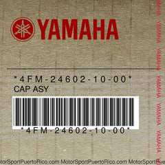 4FM-24602-10-00 Original OEM YAMAHA