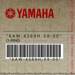 6AW-4389H-09-00 Original OEM YAMAHA