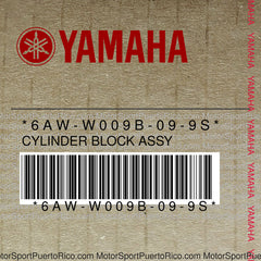 6AW-W009B-09-9S Original OEM YAMAHA