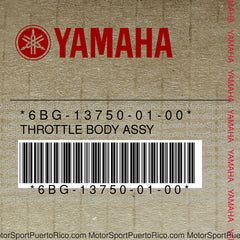 6BG-13750-01-00 Original OEM YAMAHA