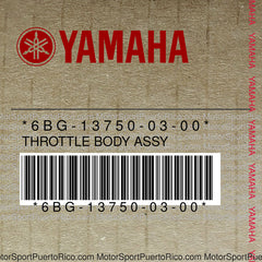 6BG-13750-03-00 Original OEM YAMAHA