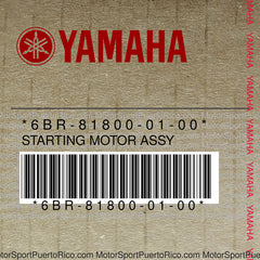 6BR-81800-01-00 Original OEM YAMAHA