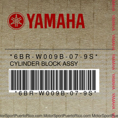 6BR-W009B-07-9S Original OEM YAMAHA