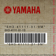 6H3-41111-01-9M Original OEM YAMAHA
