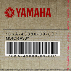 6KA-43880-09-8D Original OEM YAMAHA