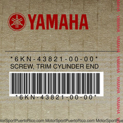 6KN-43821-00-00 Original OEM YAMAHA