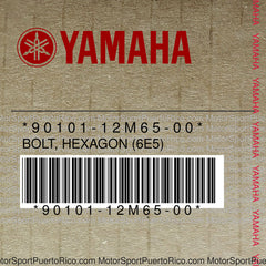 90101-12M65-00 Original OEM YAMAHA