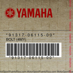 91317-06115-00 Original OEM YAMAHA