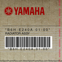 B6H-E240A-01-00 Original OEM YAMAHA