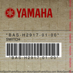 BAS-H2917-01-00 Original OEM YAMAHA