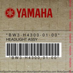 BW3-H4300-01-00 Original OEM YAMAHA