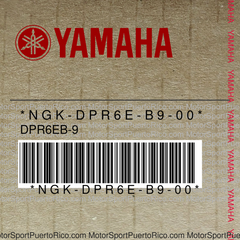 NGK-DPR6E-B9-00